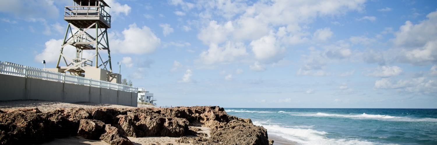 Banner image of Stuart